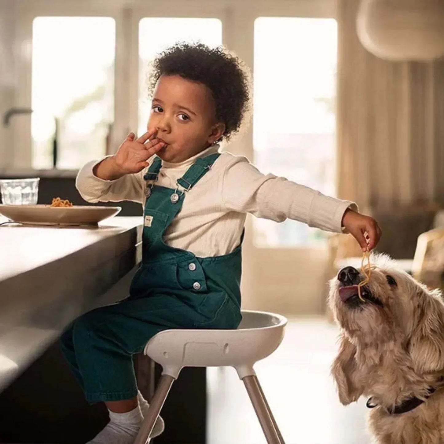 MAXI COSI Moa High Chair - Beyond Graphite