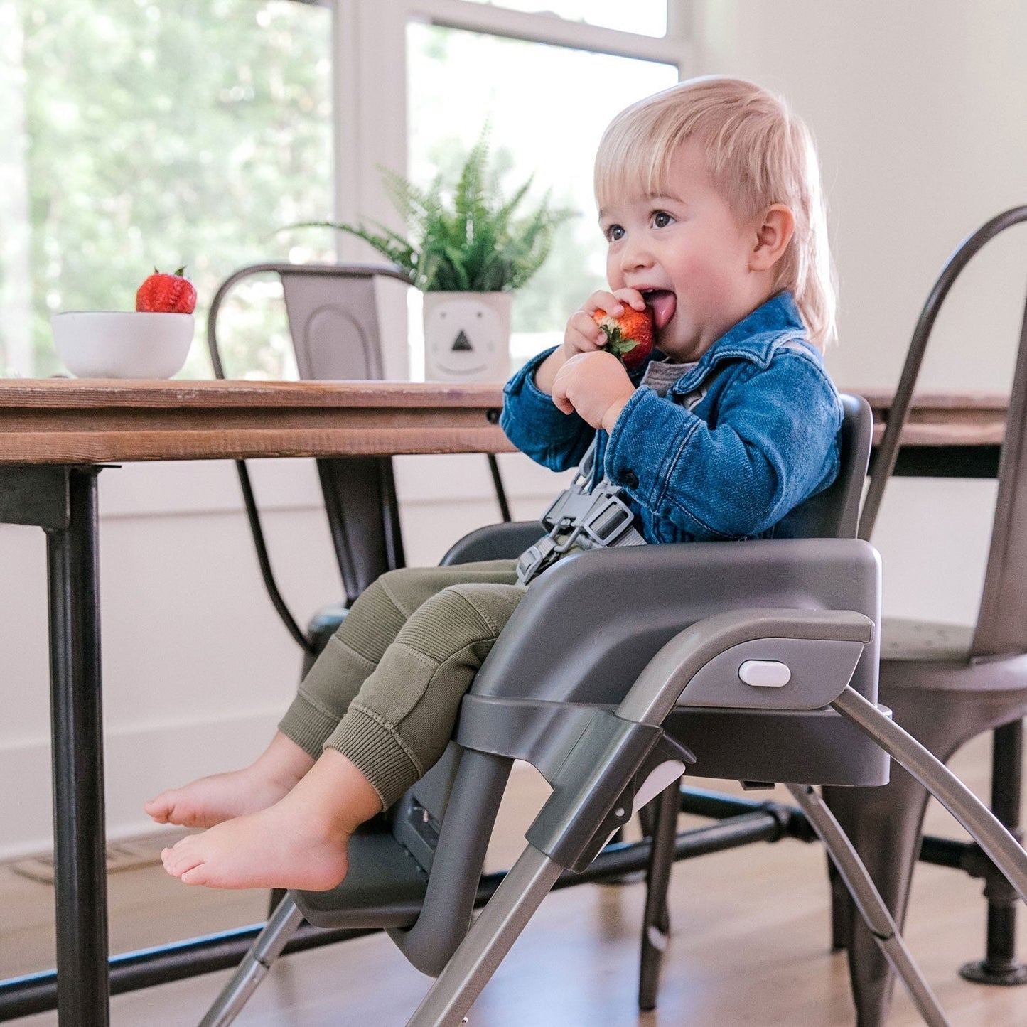 INGENUITY SmartServe 4-in-1 High Chair - Connolly