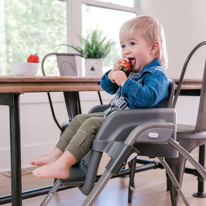 INGENUITY SmartServe 4-in-1 High Chair - Connolly